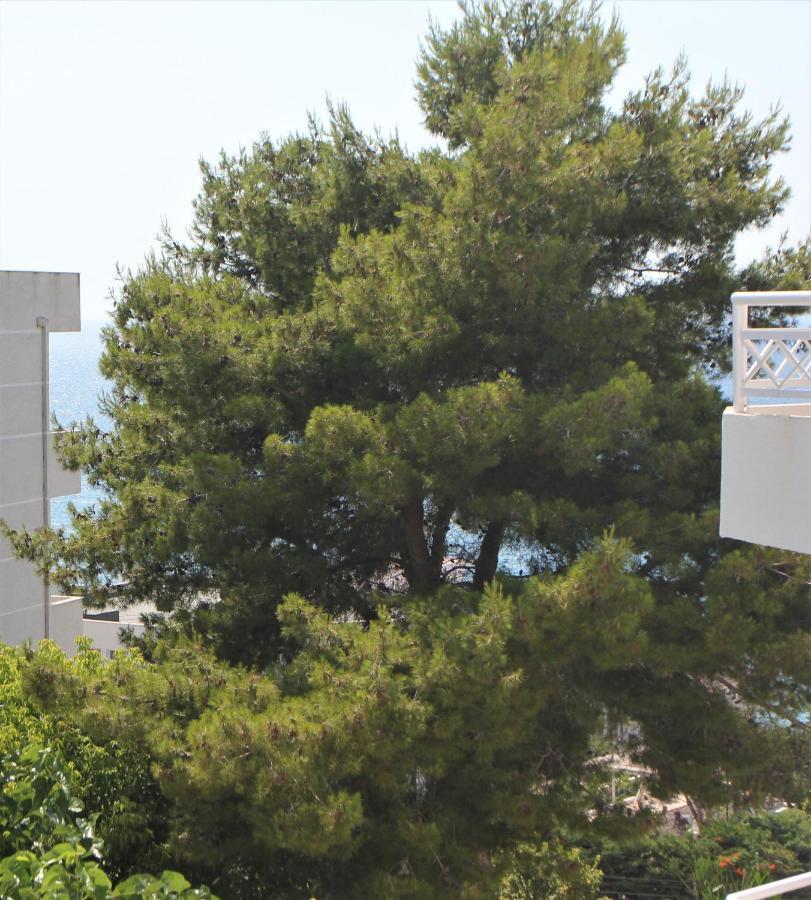 Saranda Hotel