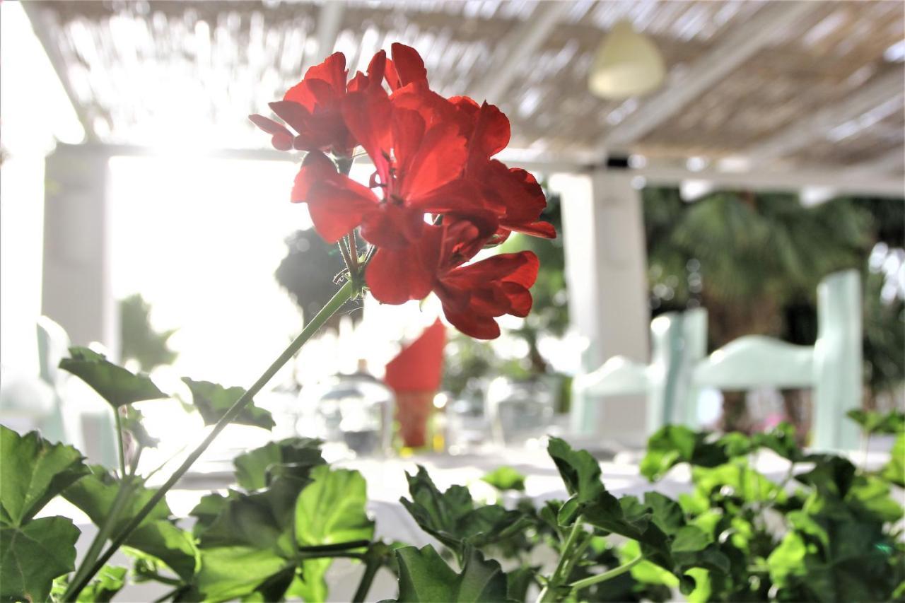 Hotell Saranda Hotel 3*