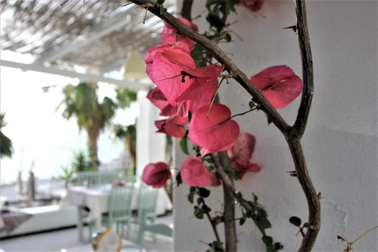 Saranda Hotel 3* Sarandë