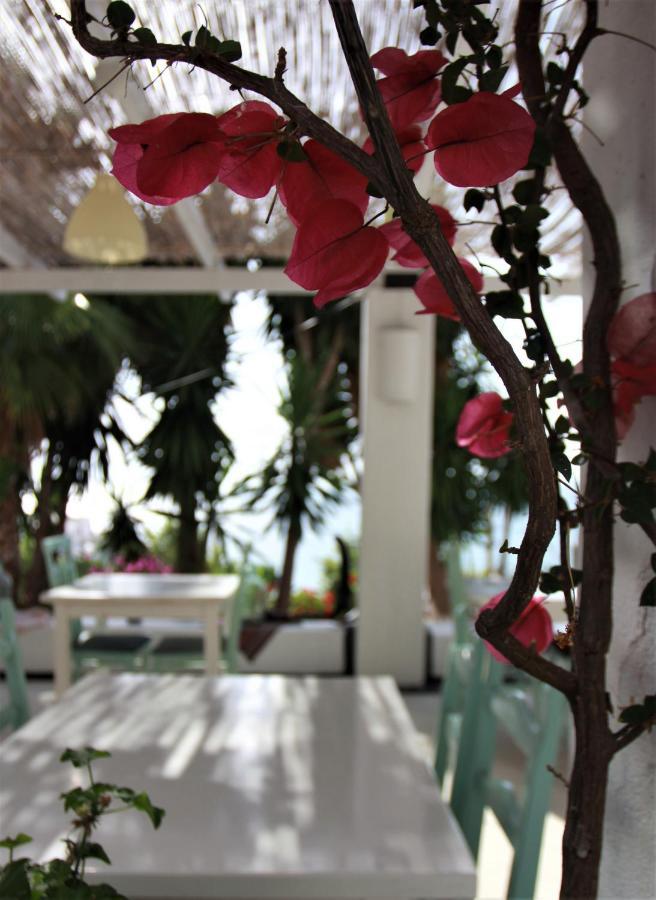 Saranda Hotel 3* Saranda